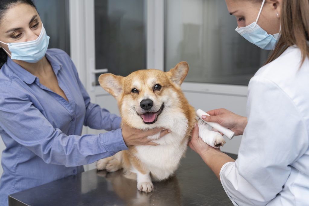 Dierenkliniek in oldenzaal