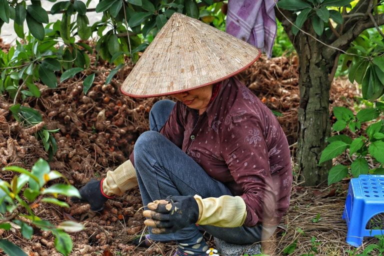 Tuinman in oldenzaal