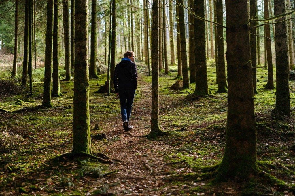 Wandelroutes in Oldenzaal